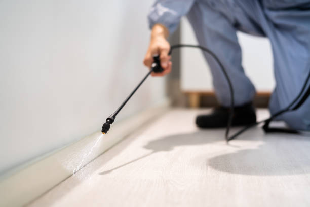 Licensed Pest Control service in Cumberland Head, NY - Show Me Pest Control